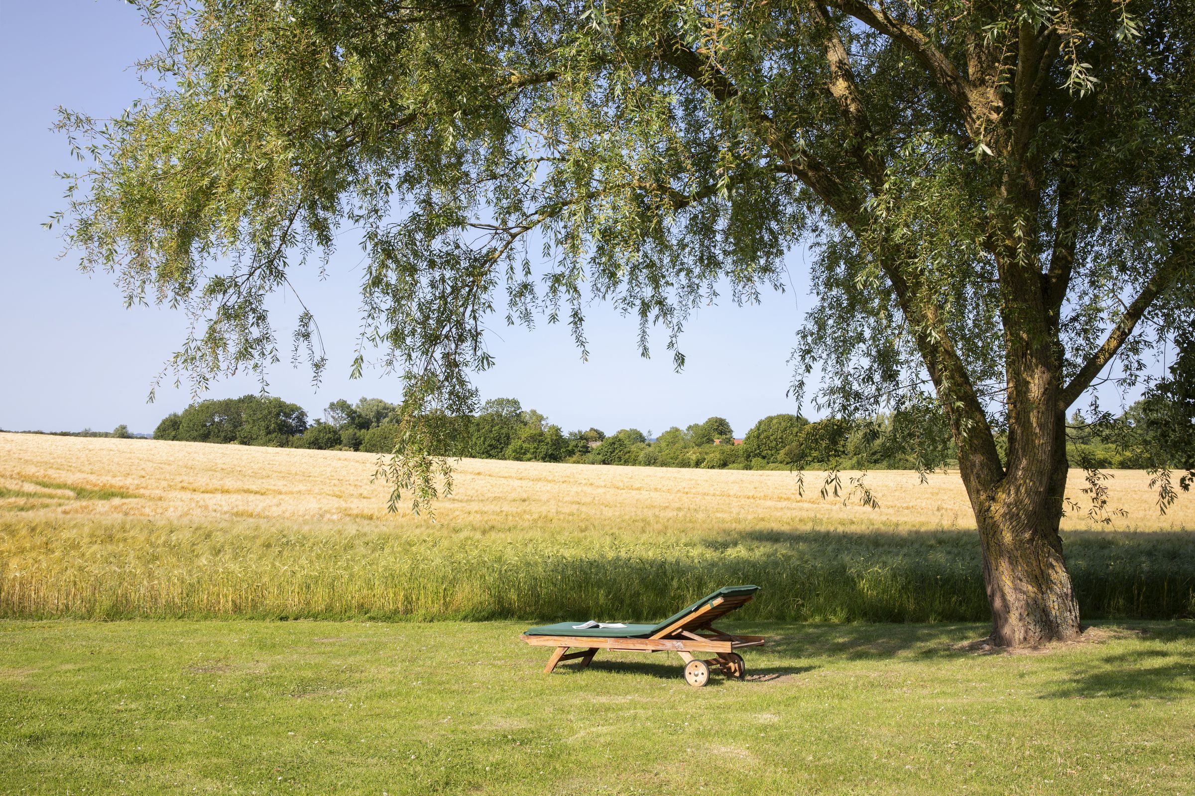 Gartenblick