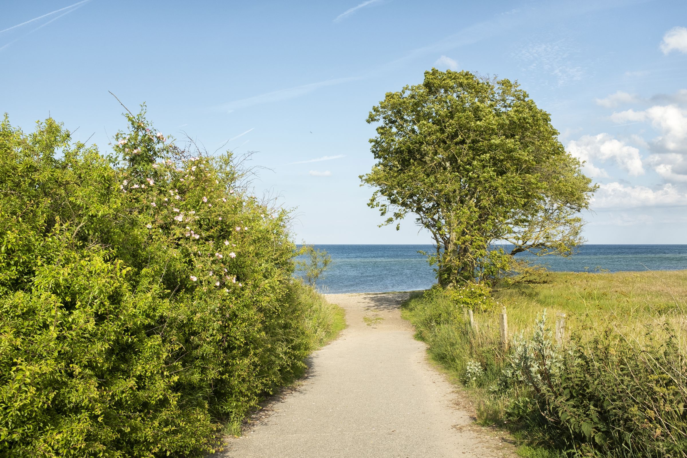 Strand