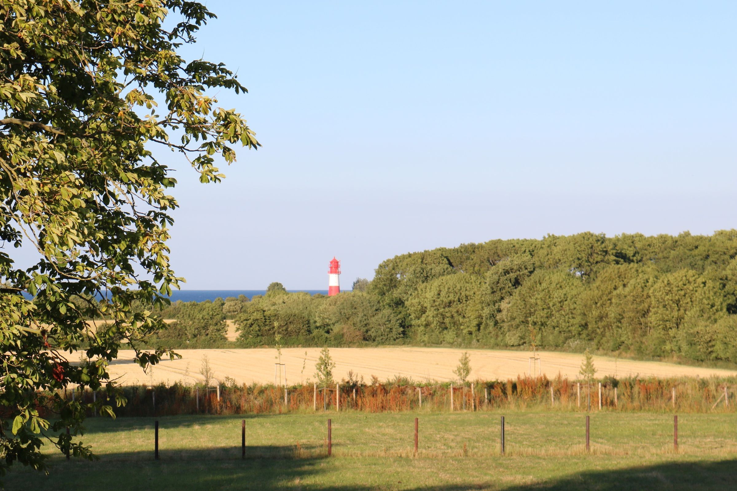 Landschaft