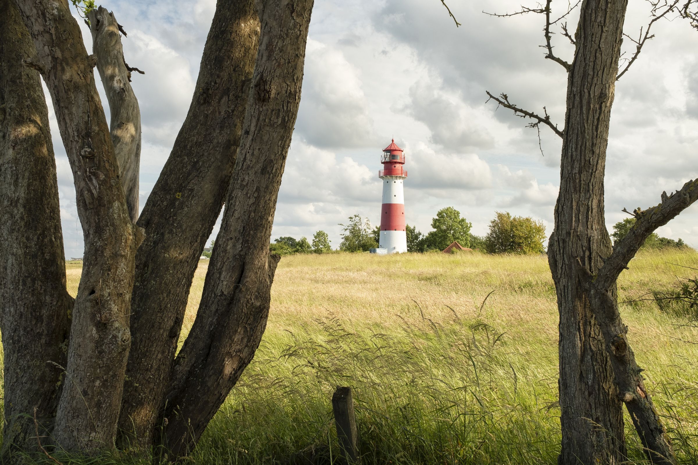 Landschaft