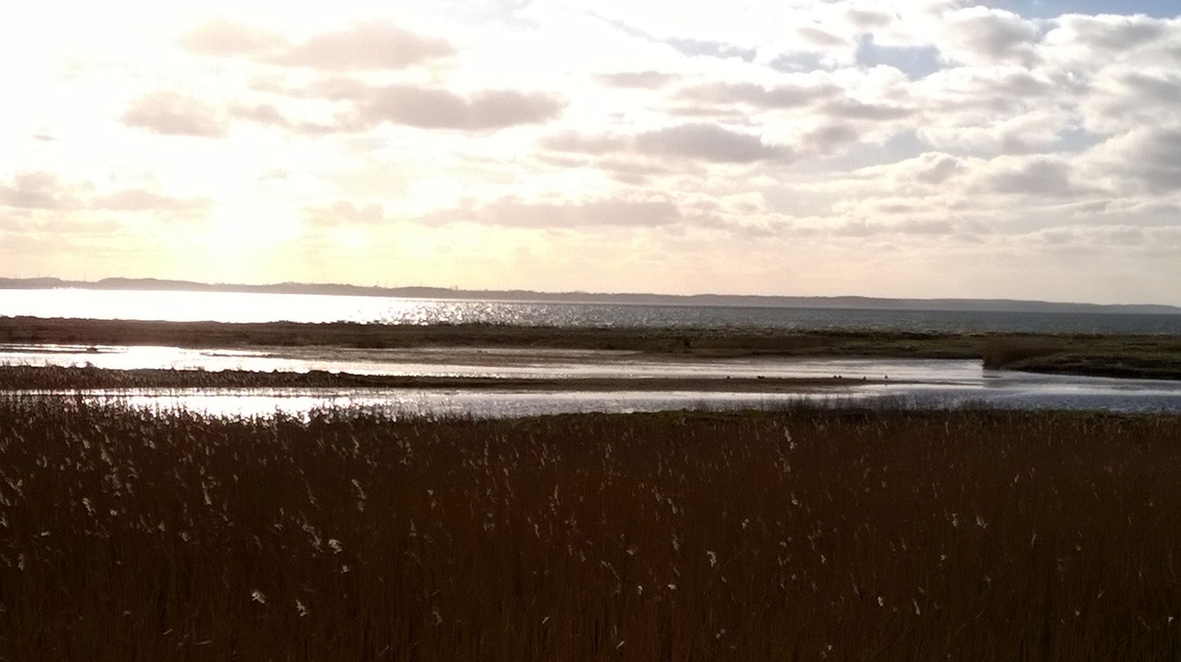 Landschaft