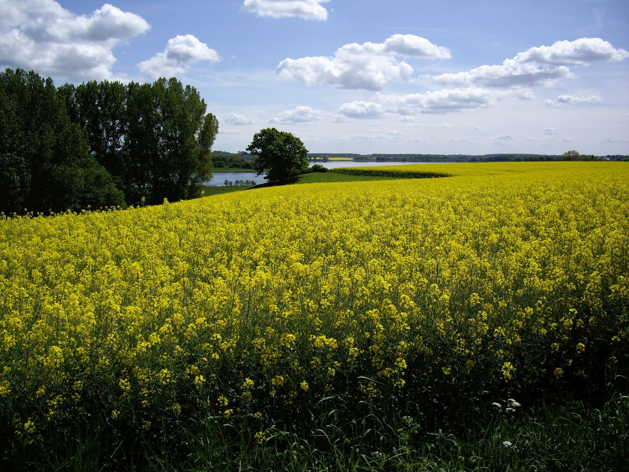 Landschaft