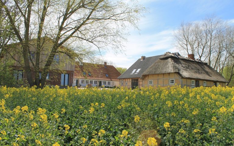 Hauptansicht