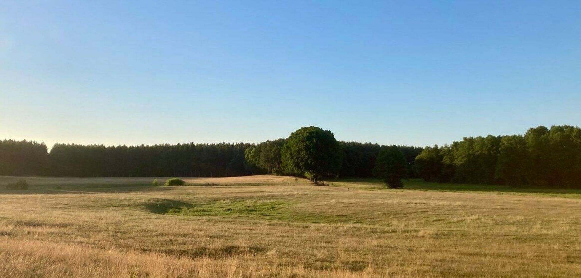 Landschaft