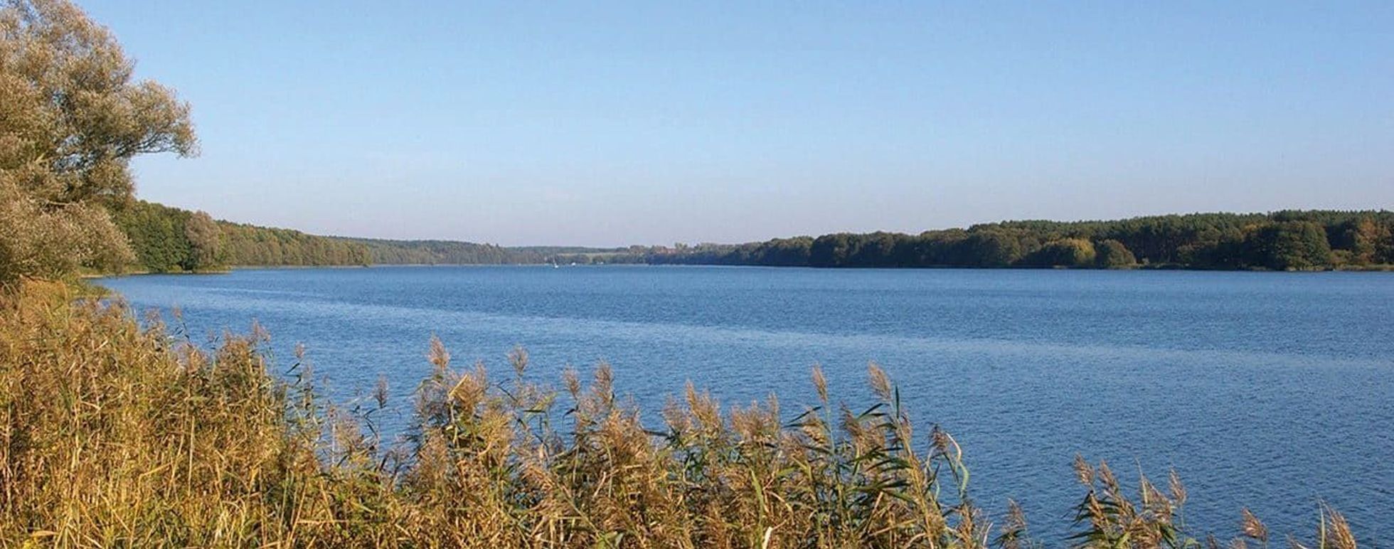 Landschaft