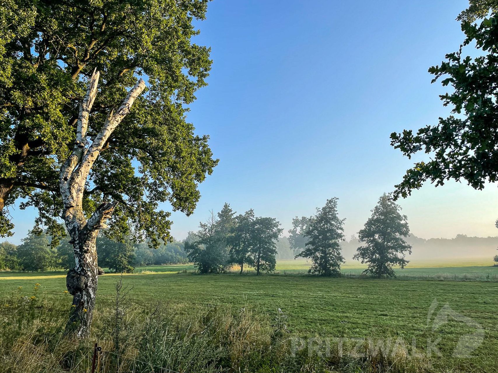 Landschaft
